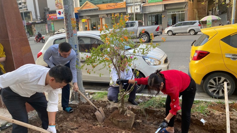 Phường Bạch Đằng tích cực hưởng ứng trồng lại hoa tại các tuyến đường tuyến phố trên địa bàn 