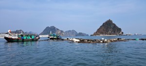 Giải bài toán môi trường sau bão trên Vịnh Hạ Long