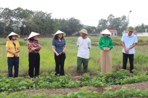 Huyện Đầm Hà: Đảm bảo an sinh xã hội, nâng cao chất lượng đời sống nhân dân